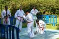  La fete du Sport 2007  - Judo Judo 004